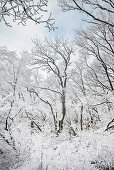 winter Alb landscape around Kirchheim below Teck, Esslingen district, Swabian Alb, Baden-Wuerttemberg, Germany