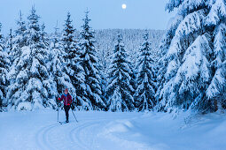 Skifahrerin im Winterwald, Langlauf fahren, Loipe, blaue Stunde, Vollmond, Dämmerung, Wintersport, Harz, MR, Sankt Andreasberg, Niedersachen, Deutschland