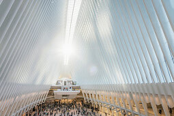 sunrise inside the Oculus, futuristic train station by famous architect Santiago Calatrava next to WTC Memorial, Manhattan, New York City, USA, United States of America