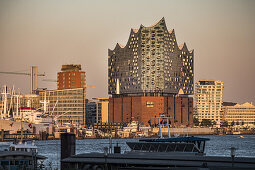 Hamburgs new Elbphilharmonie in the evening sun, modern architecture in Hamburg, Hamburg, north Germany, Germany