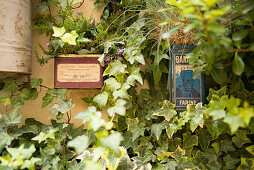 Decorated wall,  Saint-Rémy-de-Provence,  Provence-Alpes-Côte d'Azur,  Bouches-du-Rhône,  France