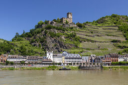 Burg Gutenfels oberhalb Kaub, Oberes Mittelrheintal, Rheinland-Pfalz, Deutschland, Europa