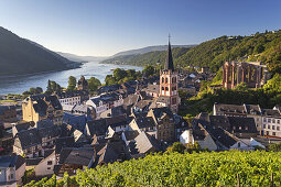 Blick über die Weinberge auf die Altstadt von Bacharach am Rhein, Oberes Mittelrheintal, Rheinland-Pfalz, Deutschland, Europa