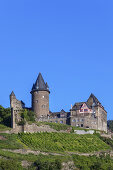 Blick auf Burg Stahleck und die Weinberge oberhalb von Bacharach am Rhein, Oberes Mittelrheintal, Rheinland-Pfalz, Deutschland, Europa