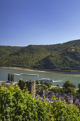 Blick auf den Rhein und die Altstadt von Bacharach, Oberes Mittelrheintal, Rheinland-Pfalz, Deutschland, Europa