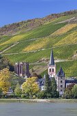 Blick über den Rhein auf Bacharach mit der Kirche St. Peter, Oberes Mittelrheintal,  Rheinland-Pfalz, Deutschland, Europa