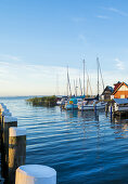 Bootshäuser in der Morgenstimmung im Hafen Althagen in Ahrenshoop am Bodden auf dem Darß. Althagen, Ahrenshoop, Darß, Mecklenburg-Vorpommern, Deutschland