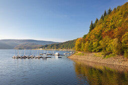 Rur-Stausee bei Heimbach, Eifelsteig, Nationalpark Eifel, Eifel, Nordrhein-Westfalen, Deutschland