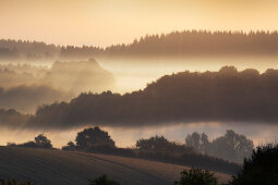Morning mist, Eifelsteig hiking trail, Eifel, Rhineland-Palatinate, Germany
