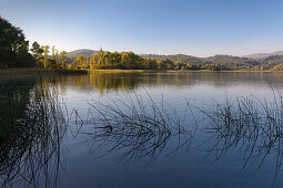 Blick über den Laacher See, Eifel, Rheinland-Pfalz, Deutschland