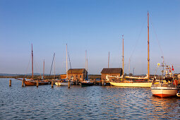 Boats in the harbour, Gager, Moenchgut peninsula, Ruegen, Baltic Sea, Mecklenburg-West Pomerania, Germany