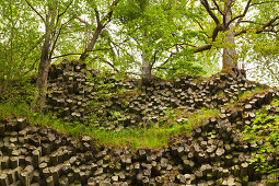 Basaltic columns at Gangolfsberg rock, near Urspringen, Rhoen, Bavaria, Germany