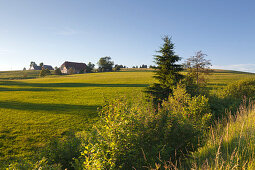 Farmhouses along the Black Forest Panoramic Road near Breitnau, Black Forest, Baden-Wuerttemberg, Germany