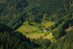 Blick ins Simonswälder Tal, Südlicher Schwarzwald, Baden-Württemberg, Deutschland