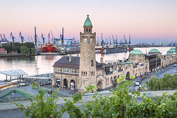 Vineyards above jetties of St.-Pauli-Landungsbrücken with tower Pegelturm, in the background port of Hamburg, Hanseatic City Hamburg, Northern Germany, Germany, Europe