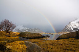 rainbow over Flakstaoya, Lofoten Islands, Norway, Skandinavia, Europe