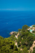 Overhead of luxurious Finca and coastline, Banyalbufar, Mallorca, Balearic Islands, Spain