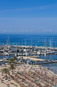 Blick aus erhöhter Perspektive auf Palmen und Menschen am Strand Playa s'Arenal mit Marina, s'Arenal, nahe Palma, Mallorca, Balearen, Spanien