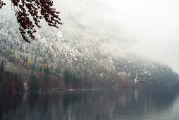 Der Königssee nach dem ersten Schneefall, Königssee, Berchtesgaden, Deutschland