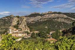 Weinbau bei La Roque Alric, Vaucluse, Frankreich