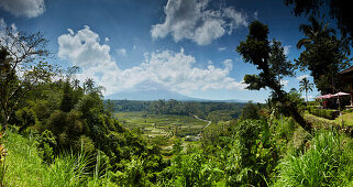 Reisterrassen und Vulkan Agung, Bali, Indonesien