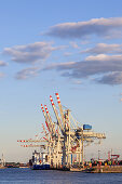 Container terminal in the Port of Hamburg, Altona, Hanseatic City of Hamburg, Northern Germany, Germany, Europe