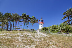 Lighthouse on the Gellen south of Neuendorf, Island Hiddensee, Baltic coast, Mecklenburg-Western Pomerania, Northern Germany, Germany, Europa