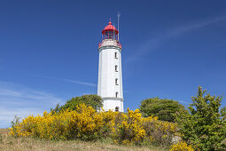 Leuchtturm auf dem Dornbusch, bei Kloster, Insel Hiddensee, Ostseeküste, Mecklenburg-Vorpommern, Norddeutschland, Deutschland, Europa