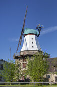 Windmühle Amanda in Kappeln, Ostseeküste, Schleswig-Holstein, Norddeutschland, Deutschland, Nordeuropa, Europa