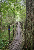 Holzbrücke im Wald des Naturreservats am Vänernsee, Västergötland, Schweden