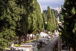 avenue of trees, Monumental Cemetery of Staglieno, Genoa, Liguria, Italy