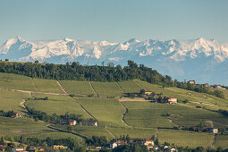 Weinberge, Schneeberge, Alpen, Hügellandschaft, Weinbaugebiet Langhe in Piemont, Provinz Cuneo, Italien