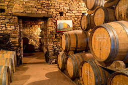 casks in wine cellar, Barolo area of Langhe, Piedmont, Italy