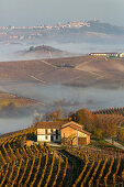 morning mist, autumn, vineyards in the Langhe landscape in Piedmont, Italy