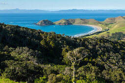 native bush and open farmland, Port Jackson, sheltered bay, landscape, Coromandel Peninsula, North Island, New Zealand
