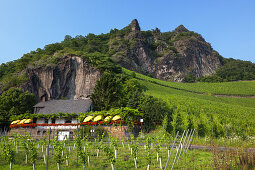 Weinhaus Domstein unterhalb der Felsen des Drachenfels in Königswinter, Mittelrheintal, Nordrhein-Westfalen, Deutschland, Europa