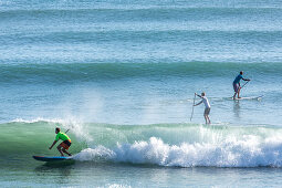 stand up paddle surfer, SUP, standup paddleboarding, water sport, Papamoa Beach, holiday beach, surf beach, Tauranga, North Island, New Zealand