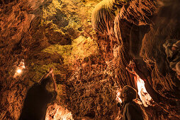 Stalactites and Stalagmites lit up in a cave, Grotte de Saint-Cezaire, Provence-Alpes-Cote d'Azur, France