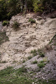 suevit rocks in the quarry of Altenbuerg, GEO park Noerdlinger Ries, Noerdlingen, Bavaria, Germany