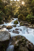 waterfall, cascade, forest, Lake Marian Track, nobody, Fiordland, South Island, New Zealand