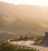 Two cyclists, Hastings, Napier, Hawks Bay, North Island, New Zealand, Oceania