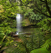 Purakaunui Falls, Wasserfall in Catlins, Clutha, Otago, Southland, Südinsel, Neuseeland, Ozeanien