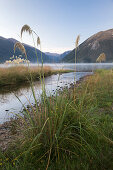 Kerr Bay, Lake Rotoiti, Nelson Lakes National Park, Südinsel, Neuseeland, Ozeanien