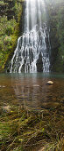 Karekare, Waitakere Ranges Regional Park, Auckland, North Island, New Zealand, Oceania