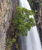 Bridal Veil Falls, Raglan, Waikato, North Island, New Zealand, Oceania