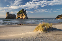 Wharariki Beach, Cape Farewell, Farewell Split, Tasman, Tasman Sea, Cook Strait South Island, New Zealand, Oceania