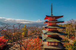 Berg Fuji und Chureito Pagode im Herbst, Fujiyoshida, Yamanashi Präfektur, Japan