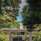 Inneres Torii und Dach des Meiji Schrein mit Cocoon Tower Shinjuku im Hintergrund, Shibuya, Tokio, Japan