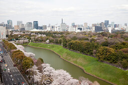 Higashi-Koen in spring with moat, skyscrapers and Tokyo Skytree in the background, Chiyoda-ku, Tokyo, Japan