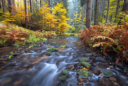 Autumn, Khaa Valley, Kirnitzsch, River, Valley, Bohemian Switzerland, Elbe Sandstone Mountains, Germany, Europe